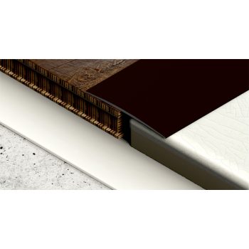   PROFILPLAST 454191006 ÖNTAPADÓS BURKOLATVÁLTÓ 100 mm ELOXÁLT MATT BRONZ 1M