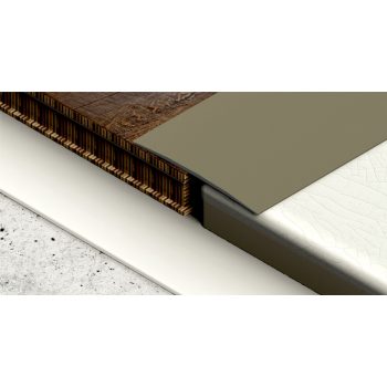   PROFILPLAST 454191007 ÖNTAPADÓS BURKOLATVÁLTÓ 100 mm ELOXÁLT MATT PEZSGŐ 1M