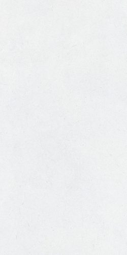 ARENA PIETRA DI TAZZA BIANCO 60x120 PADLÓBURKOLÓ RET