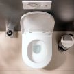 HANSGROHE ELUPURA ORIGINAL S FALI WC SZETT AQUA CHANNEL FLUSH, SOFT CLOSE, QUICK RELEASE TETŐVEL