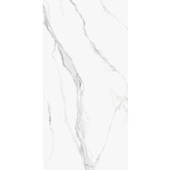   IZI CALACATA (ISABELLA) SILVER CARVING 60X120 RET PADLÓBURKOLÓ