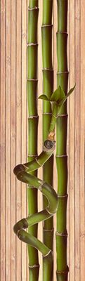 Zalakerámia Bamboo SZ-4002 Dekorcsík 12 x 40 cm